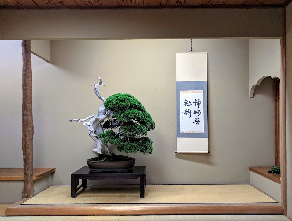 Shunkaen Bonsai Museum — 2