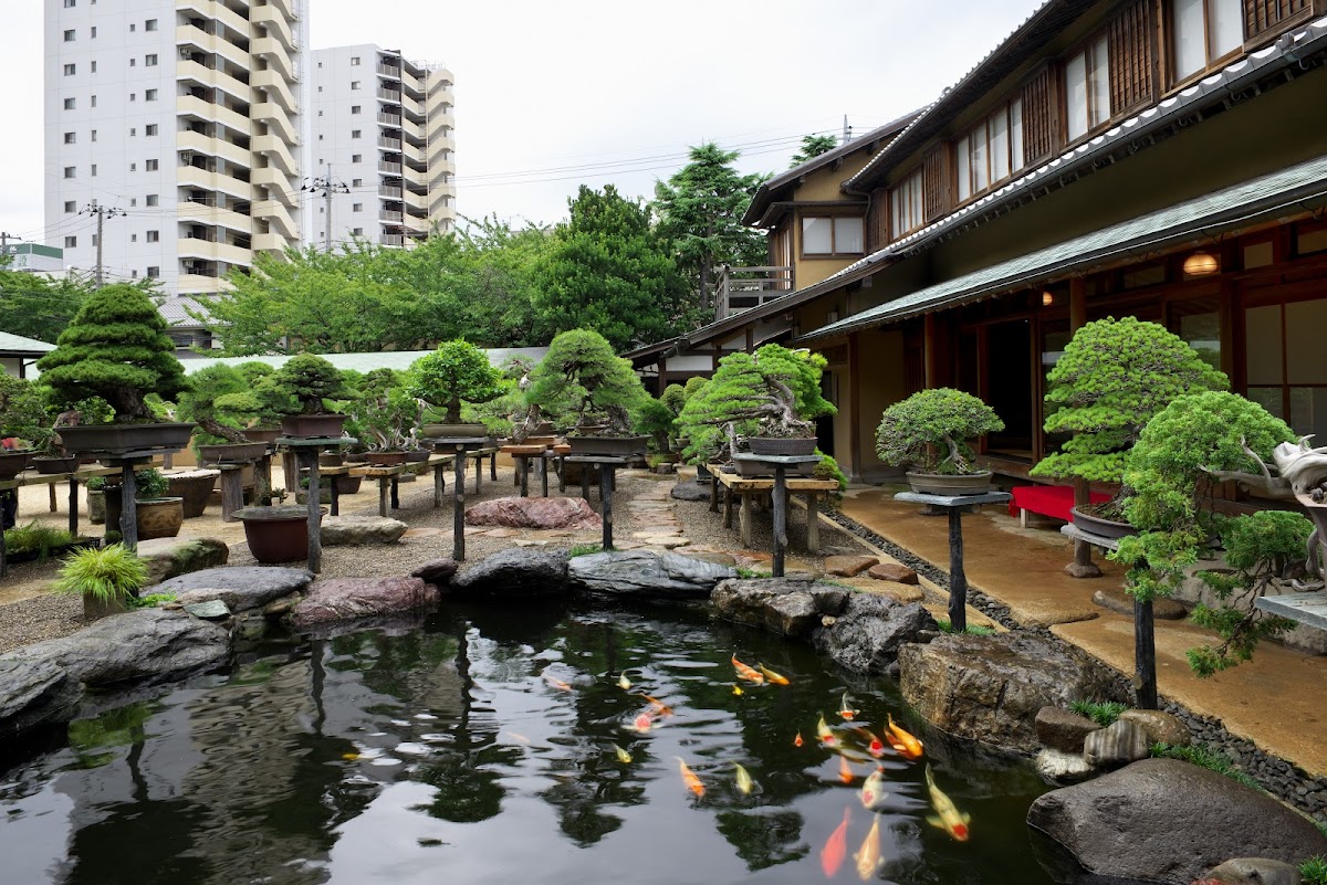 Shunkaen Bonsai Museum — 3