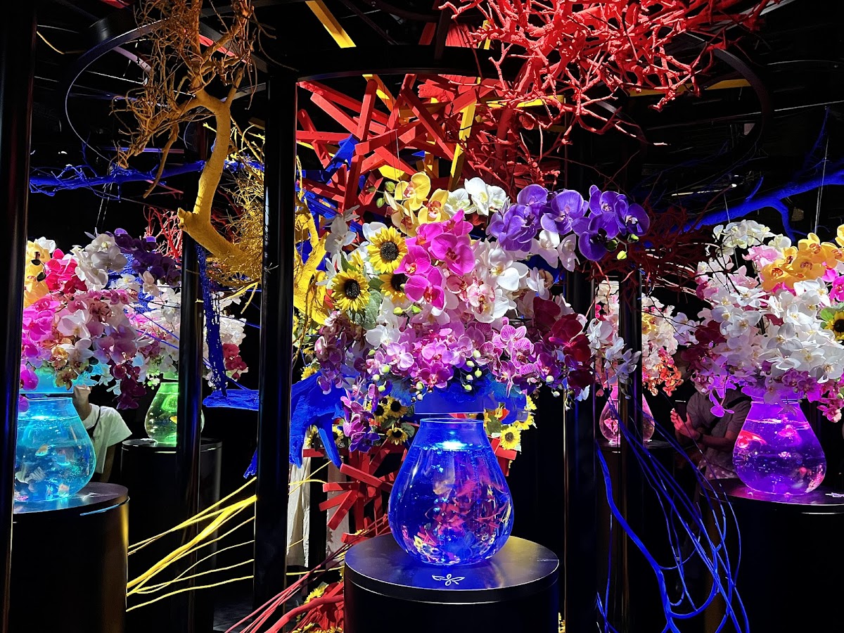 ART AQUARIUM MUSEUM — 2