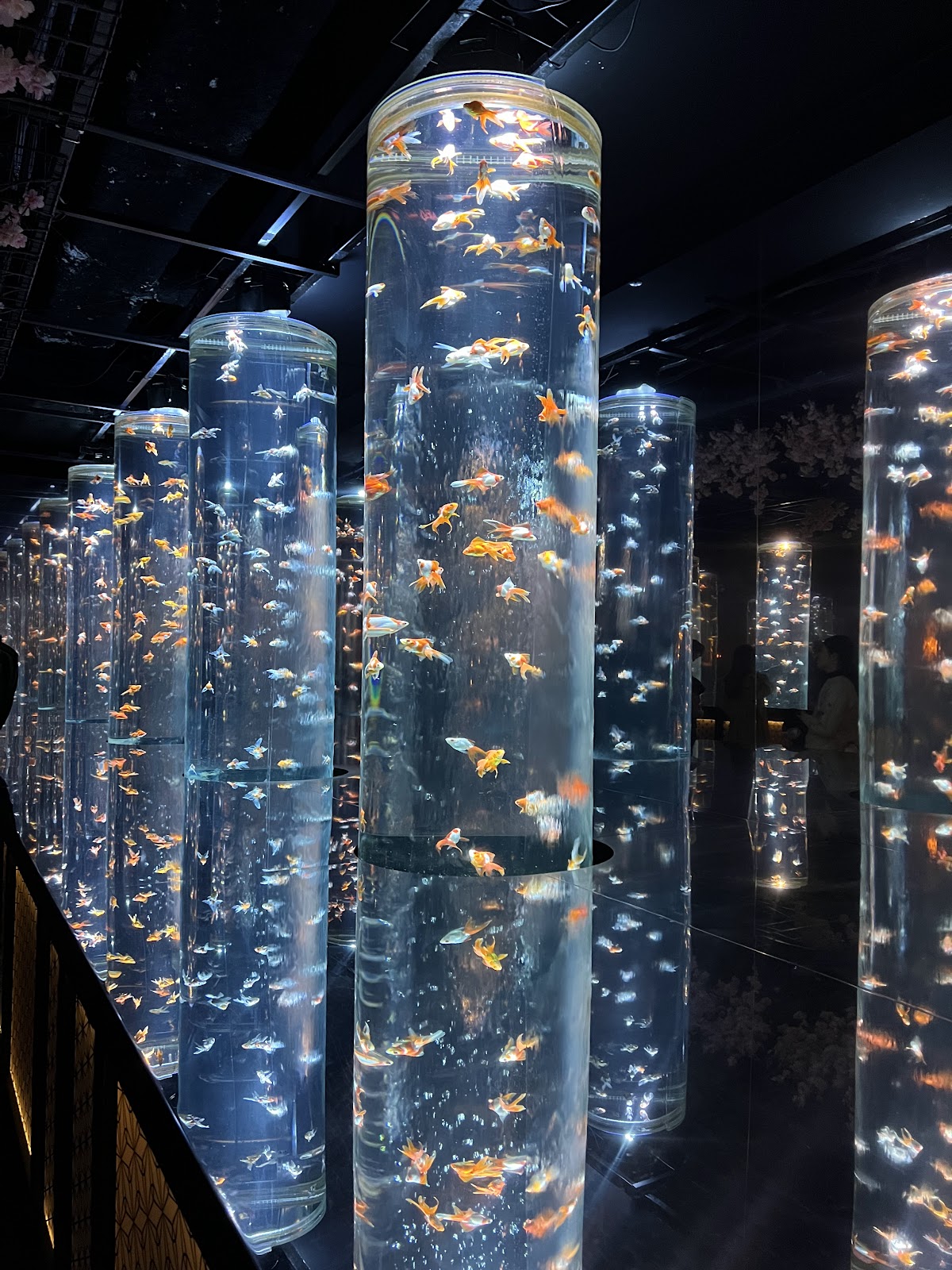 ART AQUARIUM MUSEUM — 3