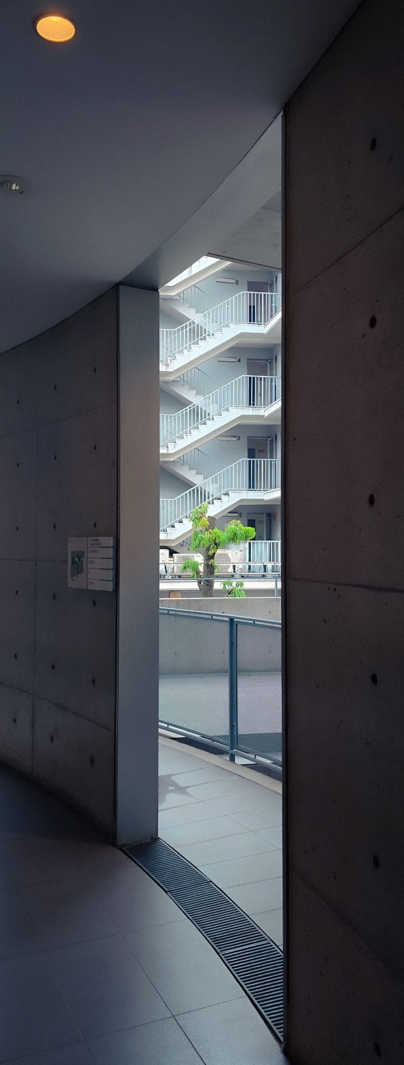 COMOLI — 3