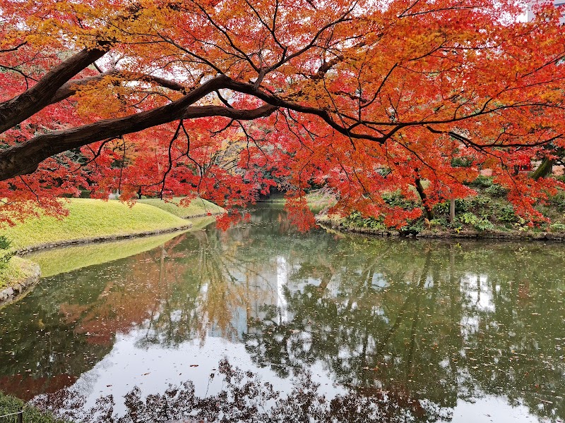 Koishikawa Korakuen Gardens — 3