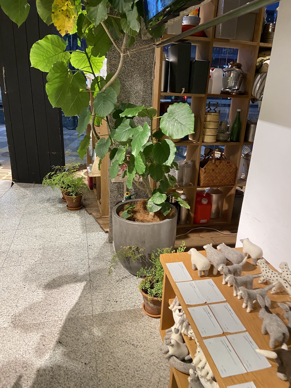 Found MUJI 青山 — 3