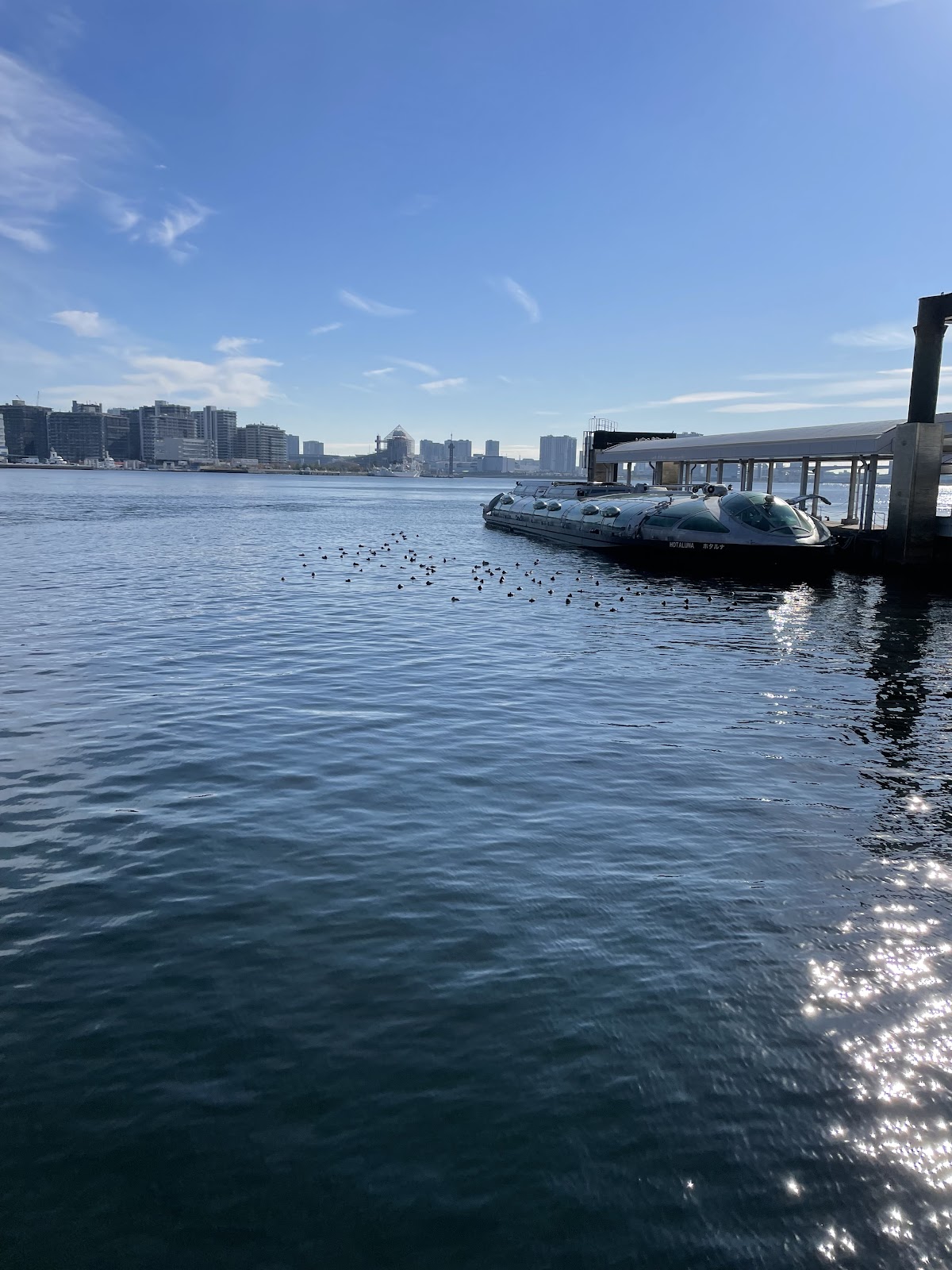 Hinode Pier — 2