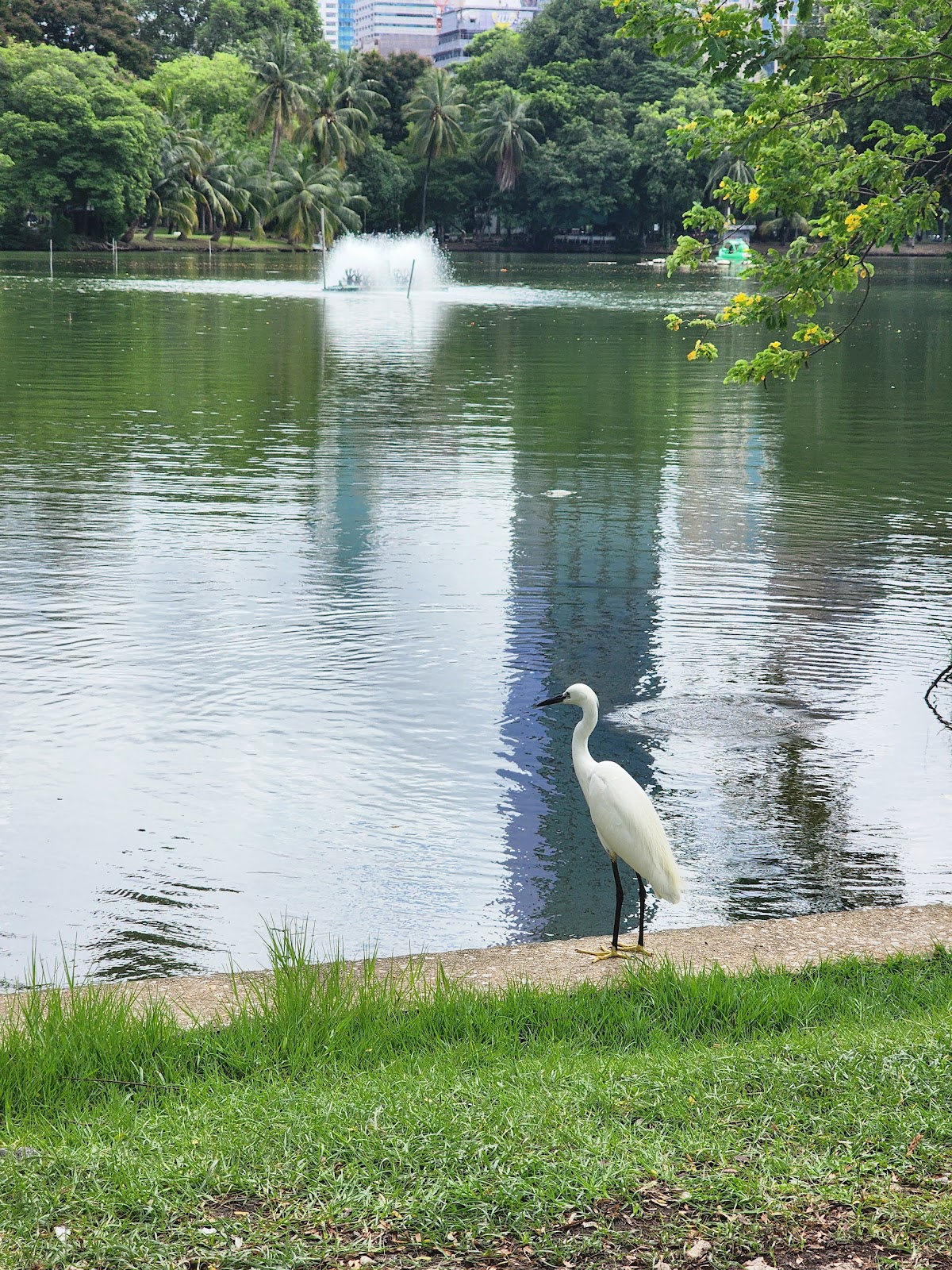 Lumphini Park — 3