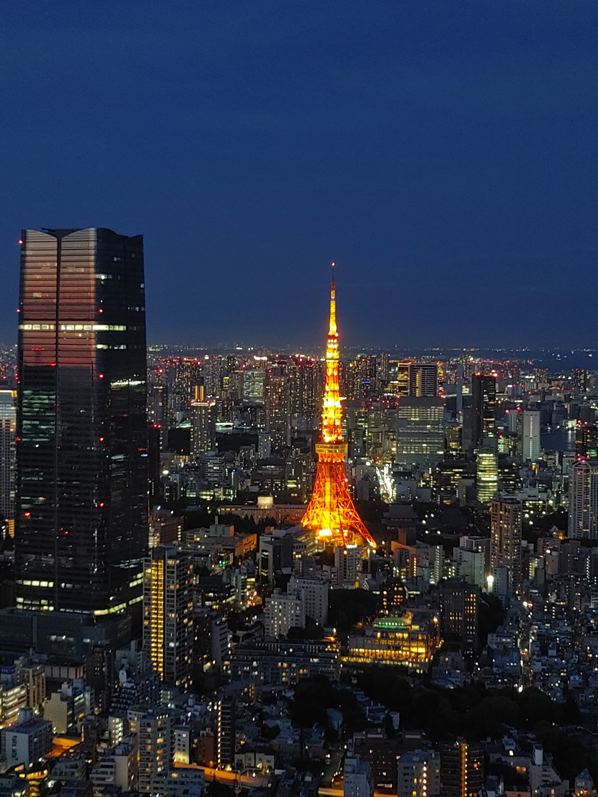 Tokyo City View (トーキョー シティ ビュー)