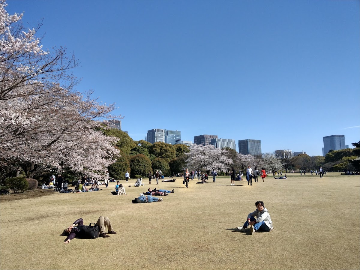 Imperial Palace East National Gardens — 2