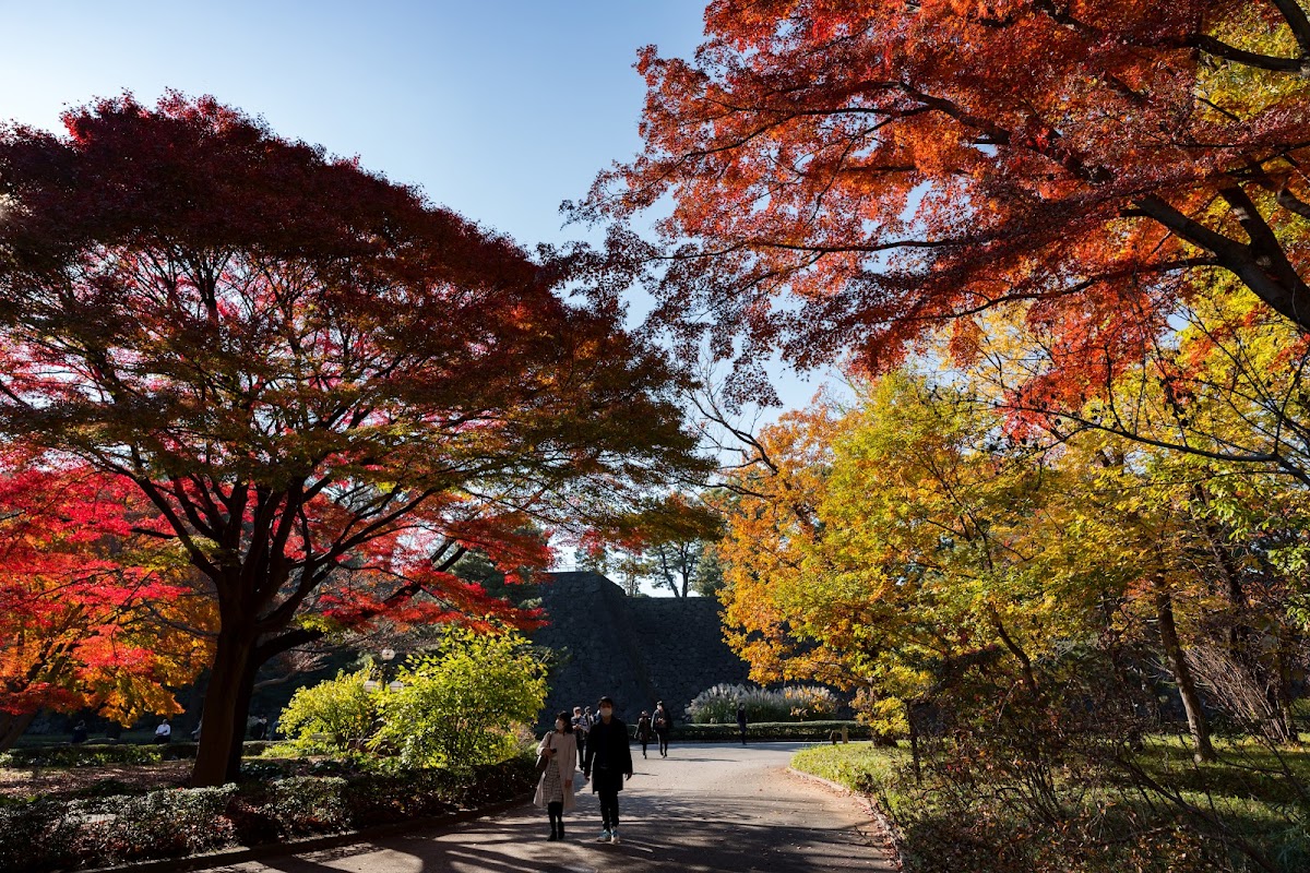 Imperial Palace East National Gardens — 3