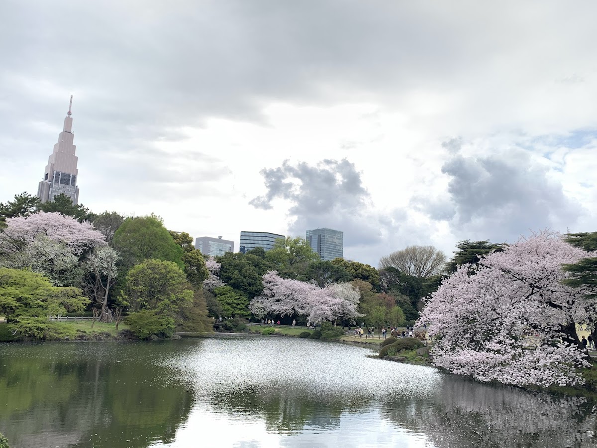 Shinjuku Gyoen National Garden (新宿御苑)