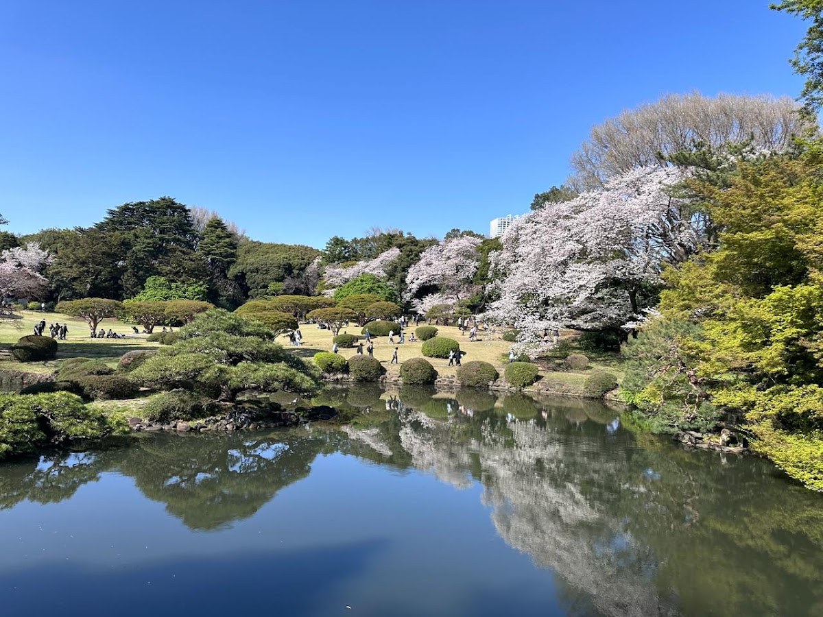 Shinjuku Gyoen National Garden (新宿御苑) — 2