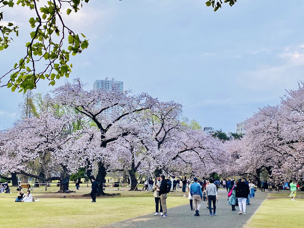 Shinjuku Gyoen National Garden (新宿御苑) — 3