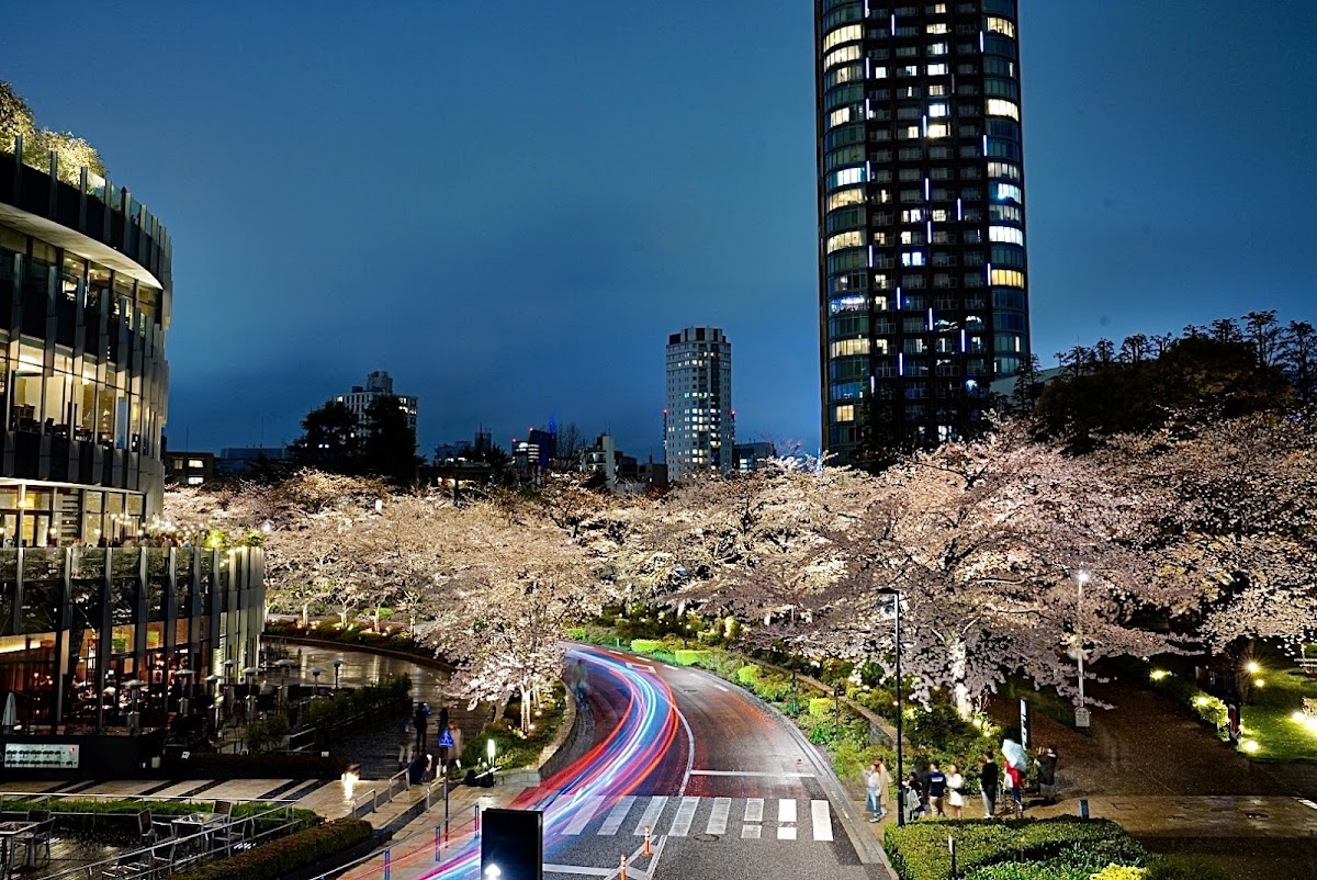 Tokyo Midtown (東京ミッドタウン)
