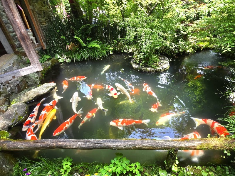 Fukazawa Tiny Museum