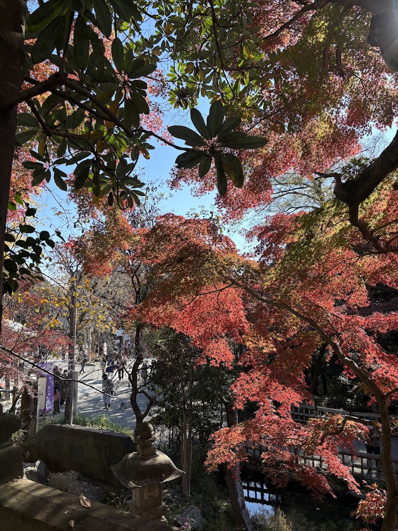 Jindaiji (深大寺) — 3