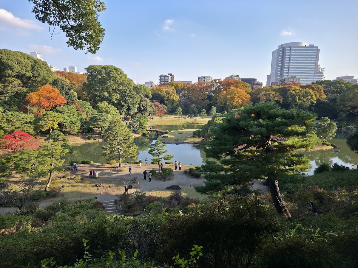 六義園 (Rikugien Gardens)
