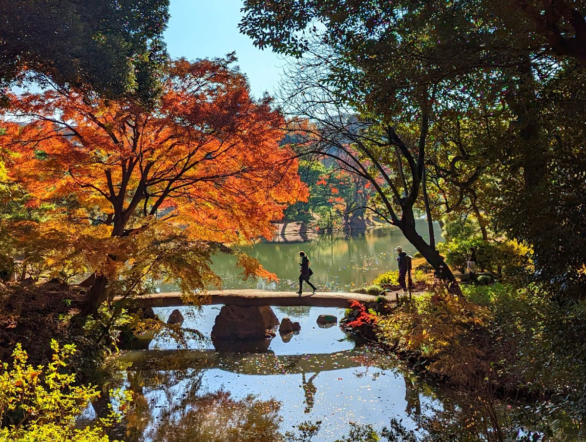 六義園 (Rikugien Gardens) — 2