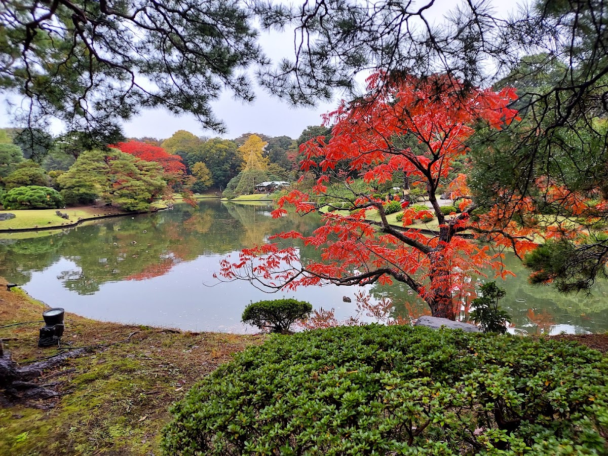 六義園 (Rikugien Gardens) — 3