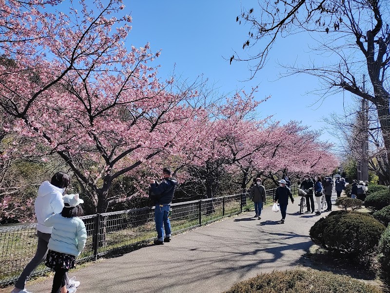 Gyotoku Yacho no Rakuen (Bird Sanctuary)