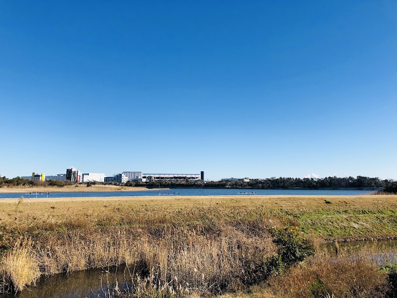 Gyotoku Yacho no Rakuen (Bird Sanctuary) — 2