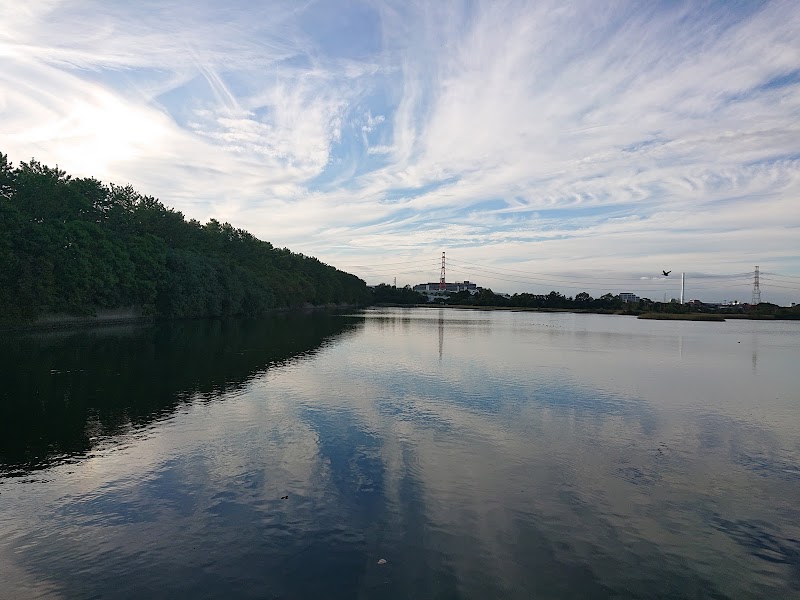 Gyotoku Yacho no Rakuen (Bird Sanctuary) — 3