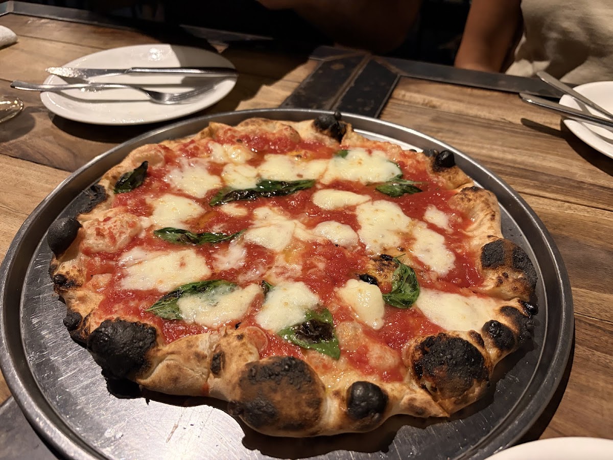 PST Roppongi (Pizza Studio Tamaki Roppongi) — 2