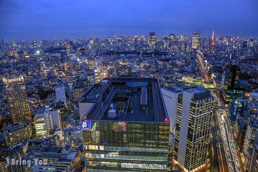 Shibuya Hikarie Sky Lobby — 2