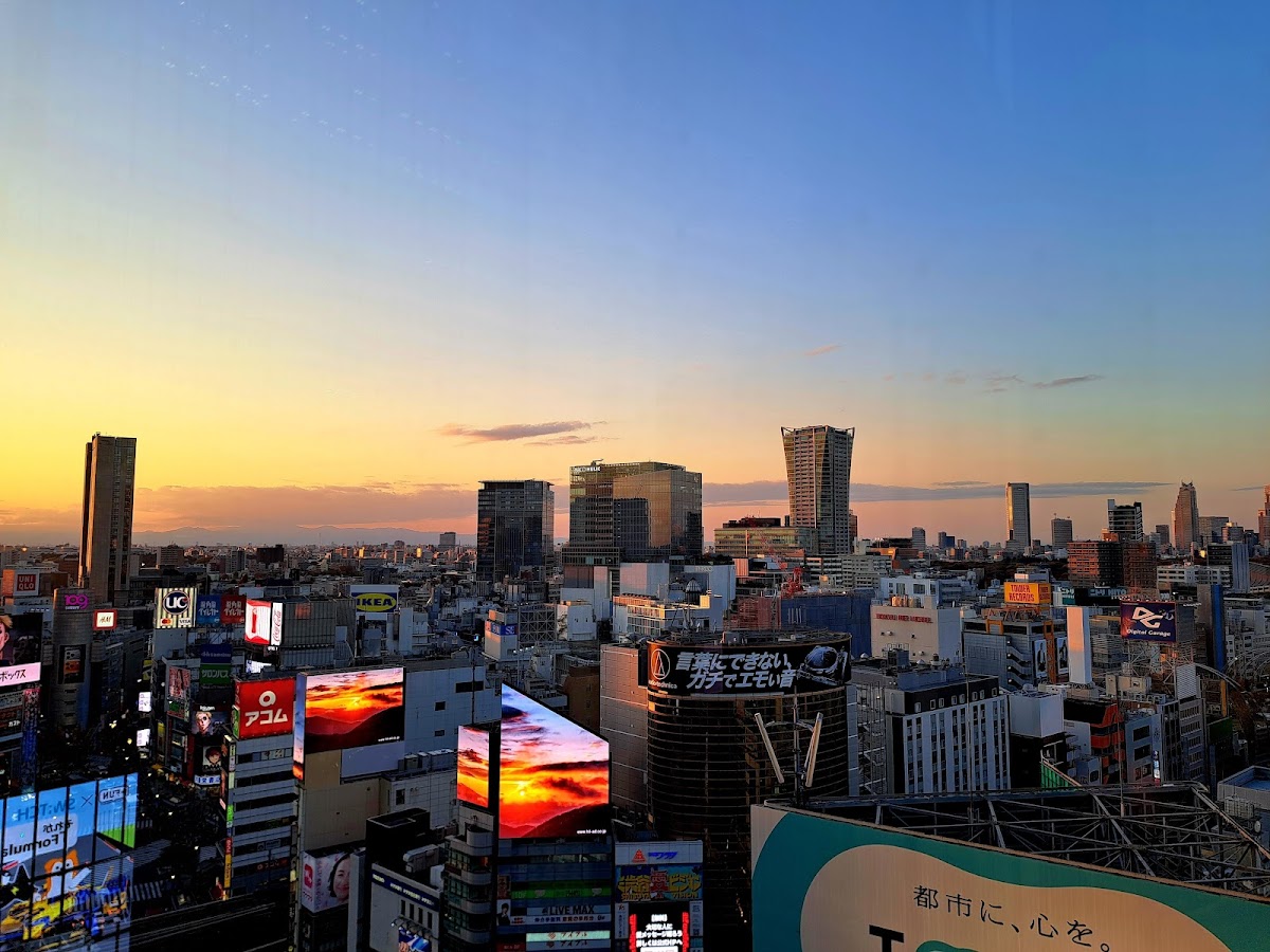 Shibuya Hikarie Sky Lobby — 3