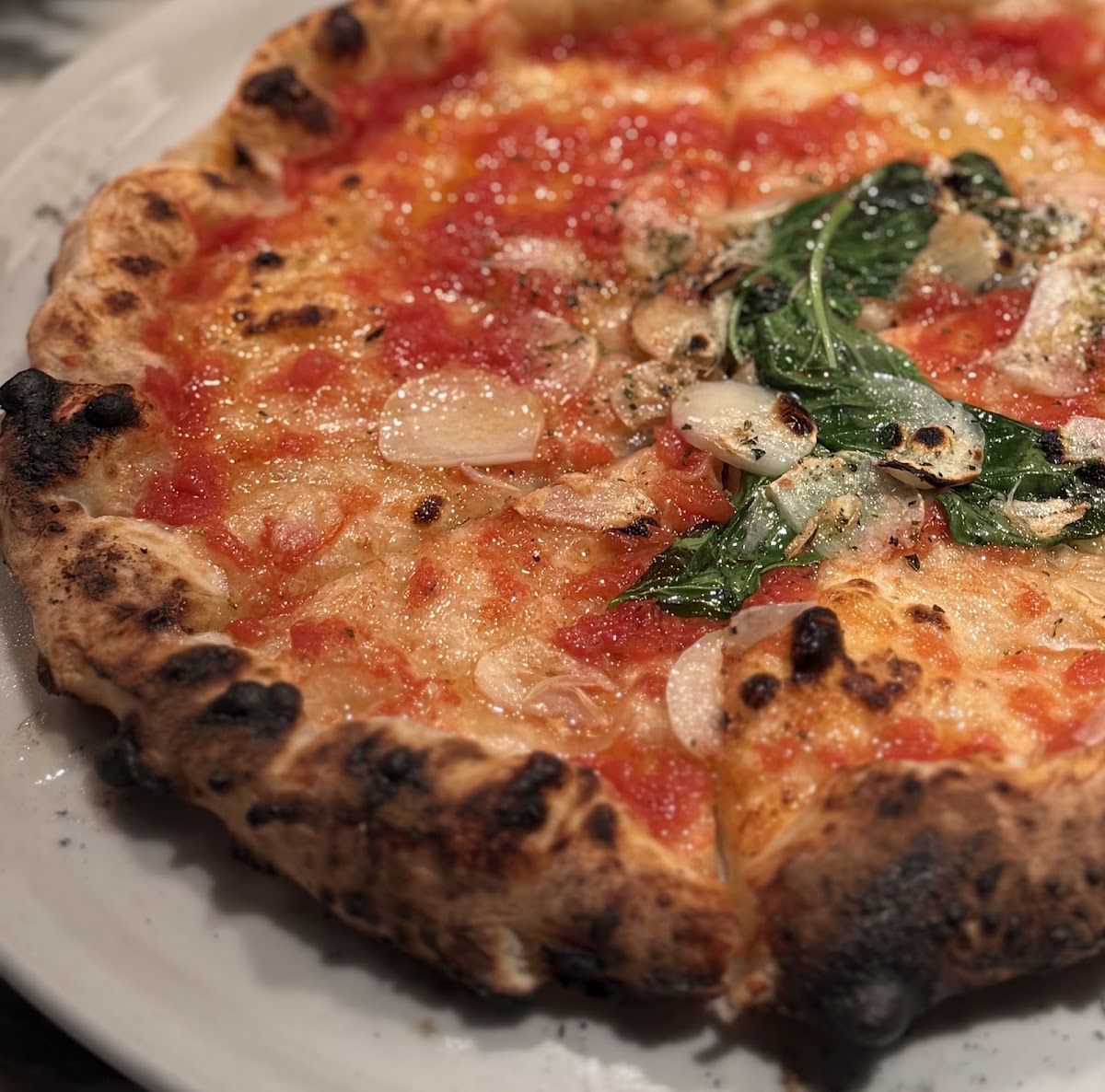Savoy Tomato & Cheese — 2