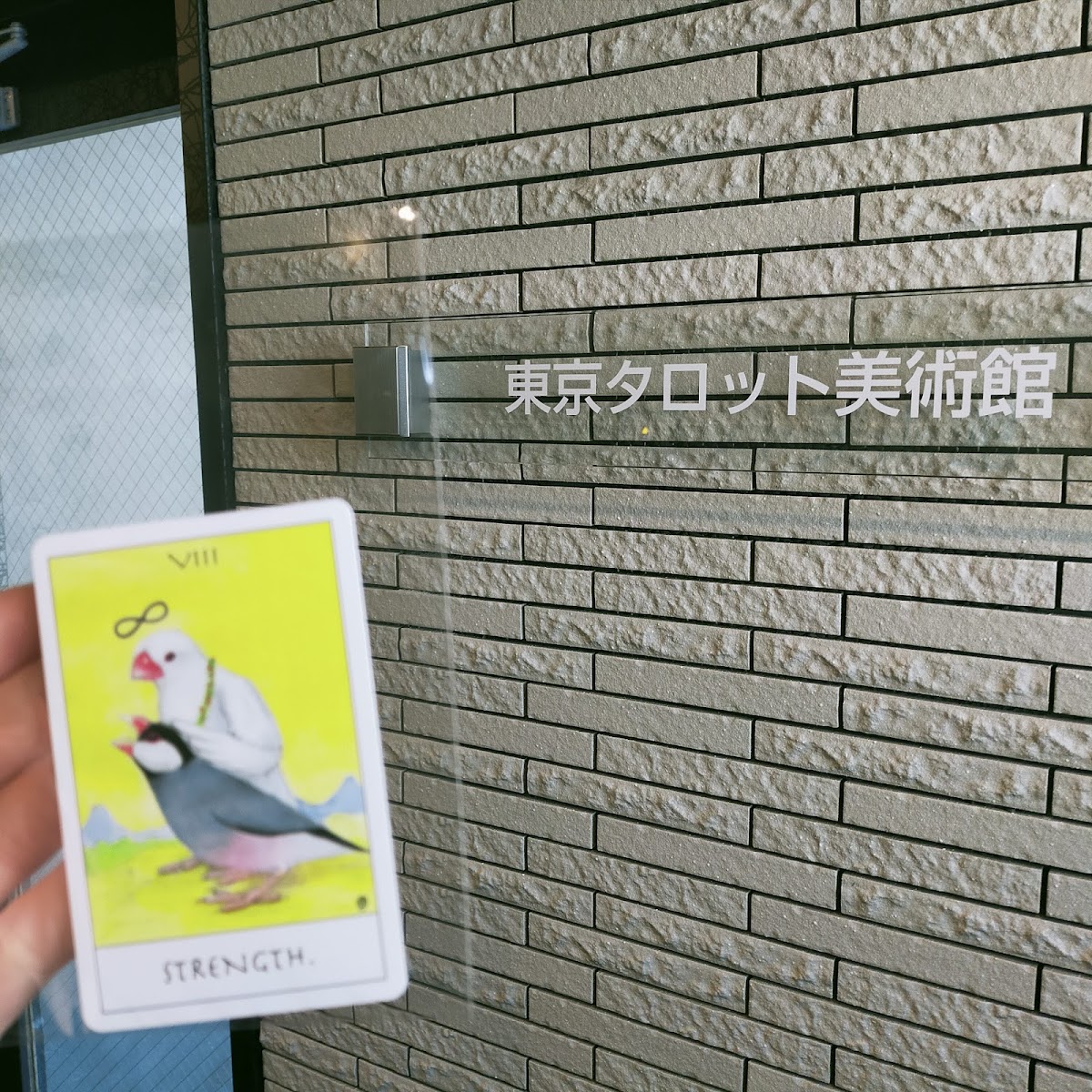 Tokyo Tarot Museum (東京タロットミュージアム) — 3