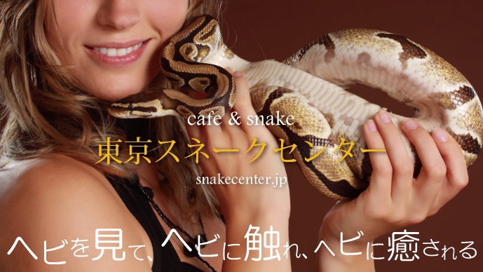 Tokyo Snake Center ~Cafe & Snake~ — 3