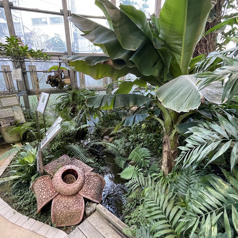 Shibuya Fureai Botanical Center — 2