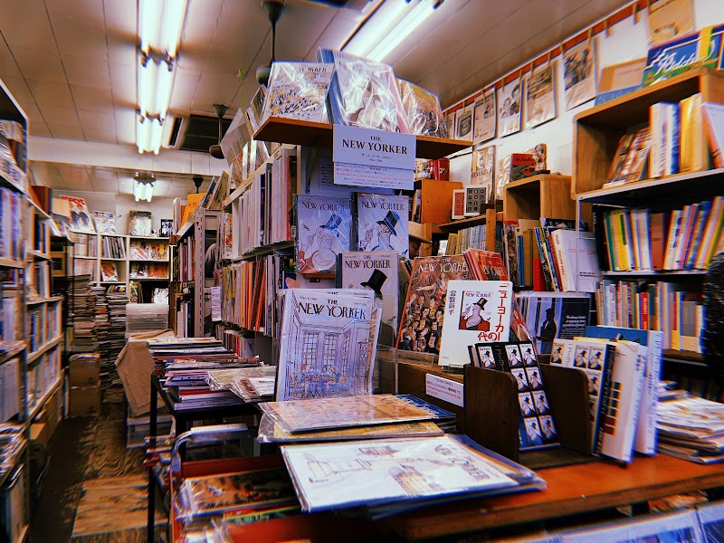 magnif — 3