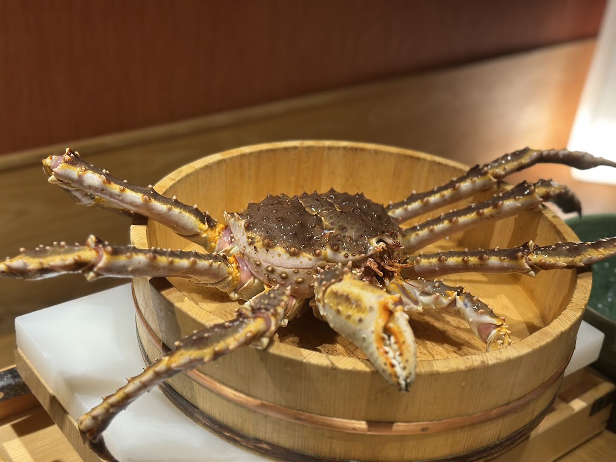 Katsukani Ryōri Ginza Kitafuku — 3