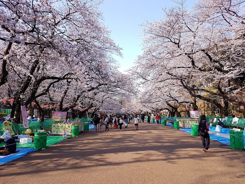 Ueno Park (上野公園)