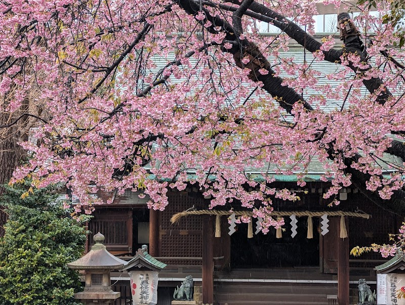 Ueno Park (上野公園) — 2