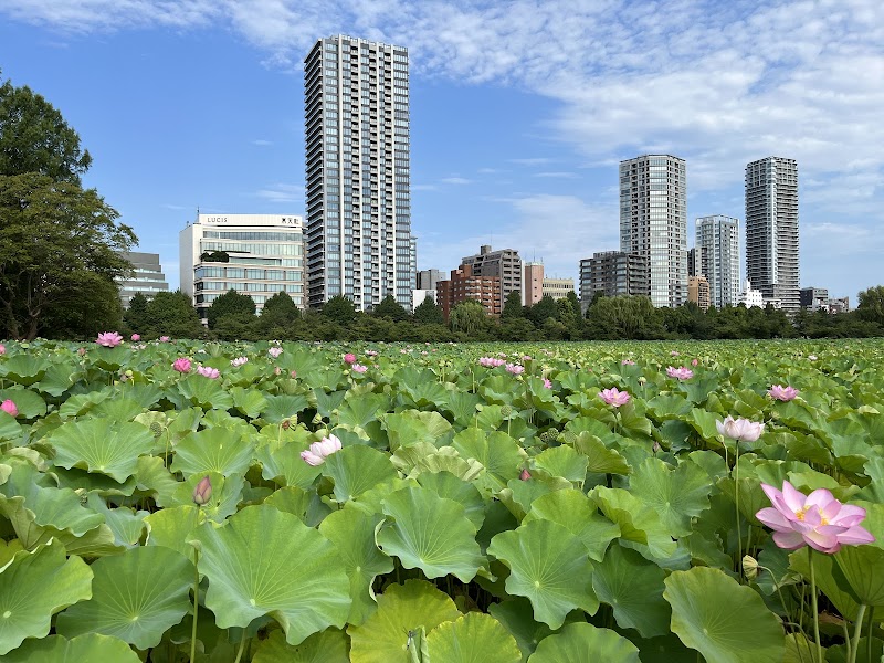 Ueno Park (上野公園) — 3