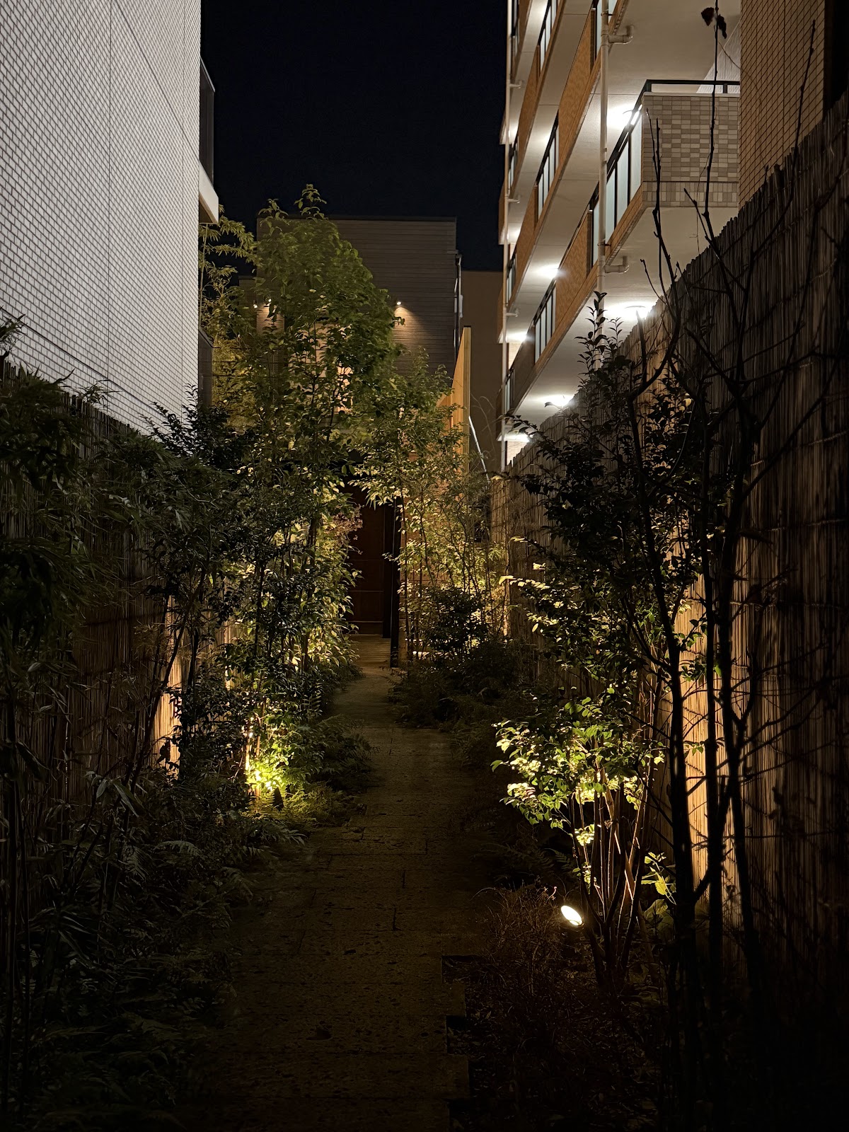 Kasahara — 2